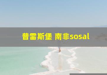 普雷斯堡 南非sosal